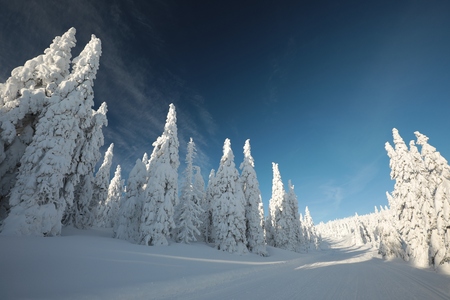 Trail leading to the top of the mountain in a winter sceneryの写真素材