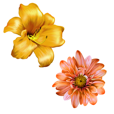 illustration of Orange red lily. isolated on a white backgroundの写真素材