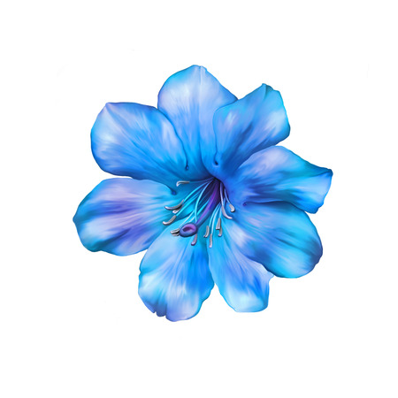 Beautiful bright blue Flower. Isolated on white. Illustrationの写真素材