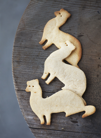 sugar cookies shaped as ferrets on wooden tableの写真素材