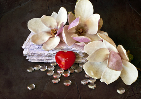 Romantic background with magnolia flowers. Spring background. Vintage cardの写真素材