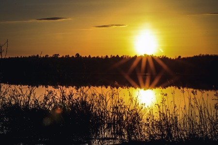 Nature Bound Photography by Eric Fabianの写真素材