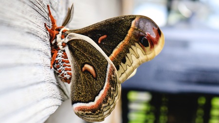 Nature Bound Photography by Eric Fabianの写真素材