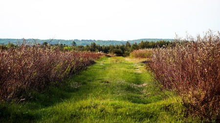 Nature Bound Photography by Eric Fabianの写真素材
