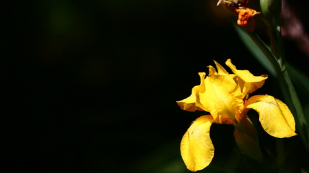 Pictures taken in the great outdoors