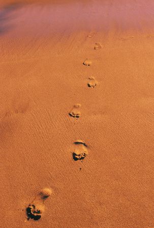 Footprints in the Sandの写真素材