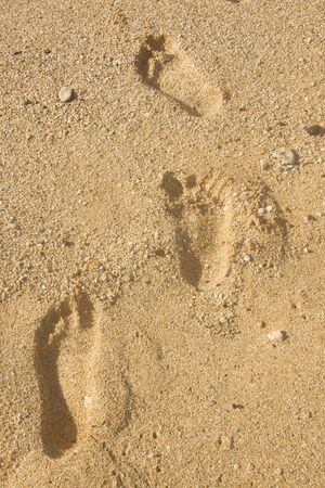 Footprints in theBeach Sand