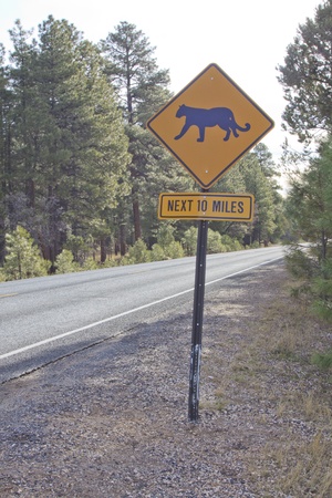Mountain Lion Crossing Warning Signの写真素材