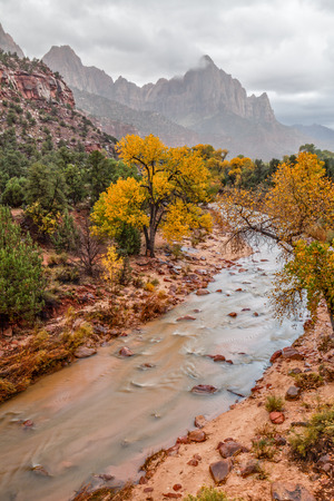 The Watchman Zion N.P. in Fallの写真素材