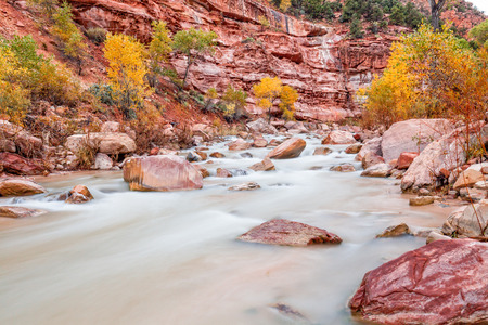 Virgin River Zion N.P. in Fallの写真素材