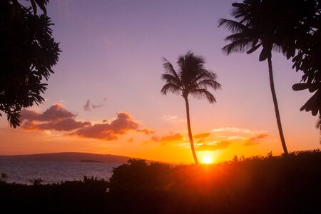 Tropical Island Sunsetの写真素材