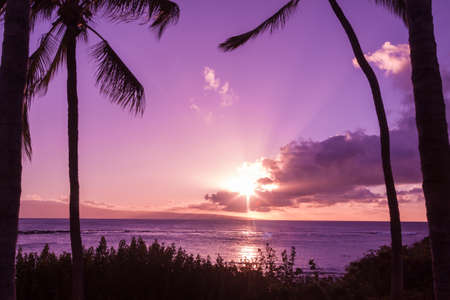 Maui Sunsetの写真素材