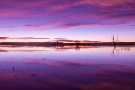Sunrise at Bosque del Apache NWRの写真素材
