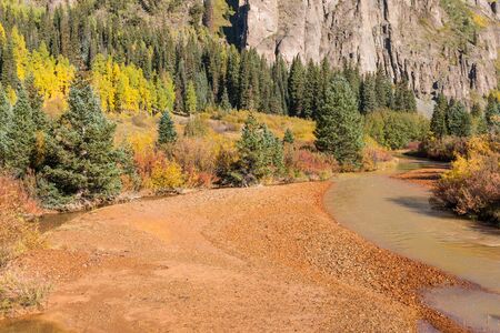 Colorado Mountain Stream in Fall