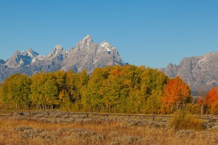 Teton Fall Landscapeの写真素材