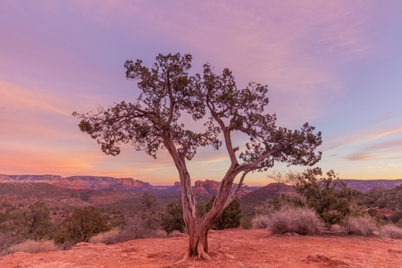 Sedona Sunsetの写真素材