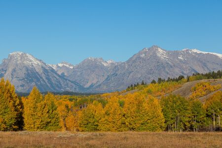 Teton Fall Landscapeの写真素材
