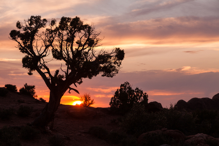 Sunset at Arches National Park Utahの写真素材