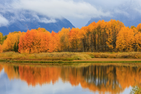 Scenic Autumn Reflection in the Tetonsの写真素材