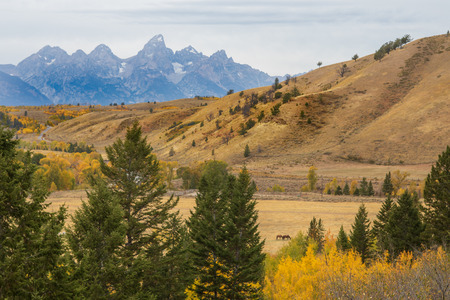 Scenic Autumn Landscape in the Tetonsの写真素材