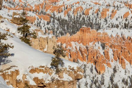 Bryce Canyon National Park Winter Landscapeの写真素材