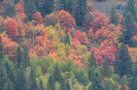 Scenic Snake River Canyon Idaho in Autumn