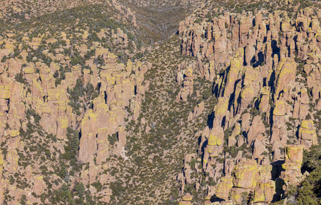 a scenic winter landscape in the Chiricahua Natinal Monument Arizonaの写真素材