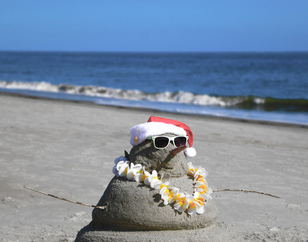 Santa Hat and Carrot Noseの写真素材