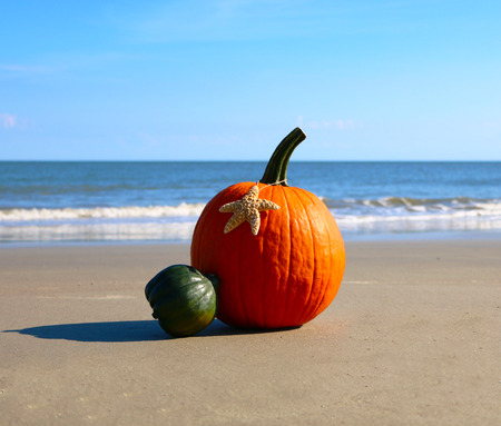 Pumpkin on a beachの写真素材