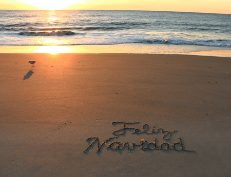 Feliz Navidadの写真素材