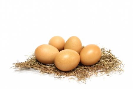 Eggs on nest