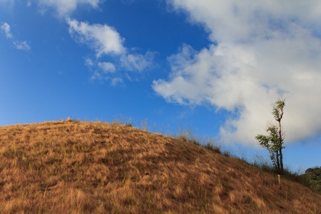 Grass mountainの写真素材