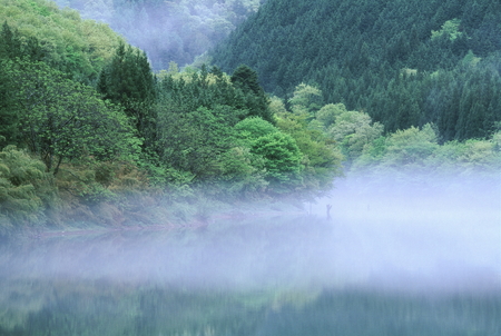 Foggy lakeの写真素材