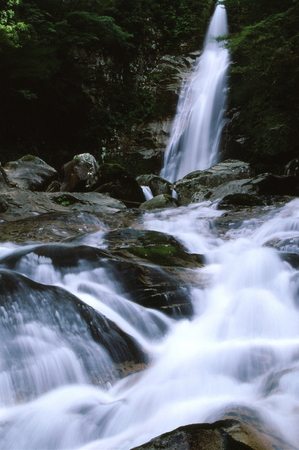 Sasanotakiの写真素材