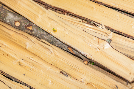 firewood for heat in the winter