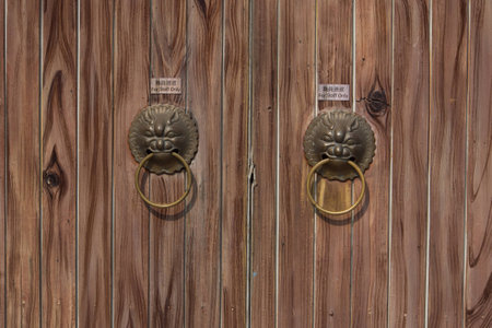 Lion door knocker found on old door.の写真素材