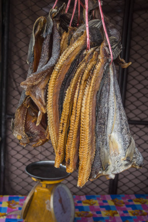 Snakehead dried fish at the market in Thailand.の写真素材