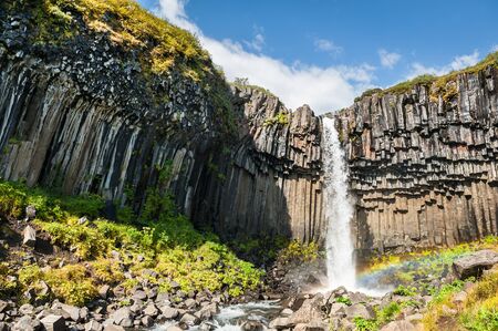 Beautiful waterfall Svartifoss with basalt columns. Skaftafell national park, South coast of Icelandの写真素材