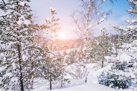 Snow-covered trees in the mountains at sunset. Beautiful winter landscape.の写真素材