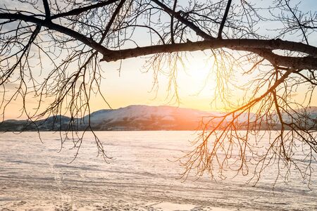 Beautiful winter landscape with frozen lake and tree at sunsetの写真素材