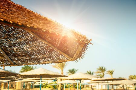 Beautiful tropical beach on the Red Sea. Summer landscape. Travel holiday backgroundの写真素材