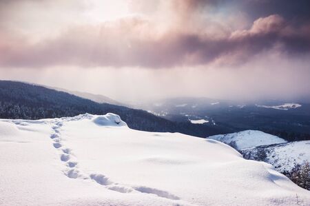 Fantastic winter landscape at sunset. Beautiful snow covered mountains. Winter forest. Creative toning effectの写真素材