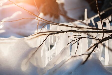 Winter icicle on the lake. Macro image. Small depth of sharpnessの写真素材