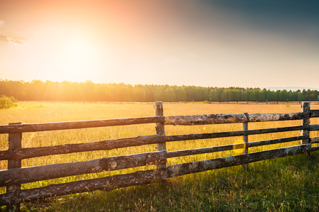 Rural nature at sunset. Beautiful summer landscape with field and forestの写真素材