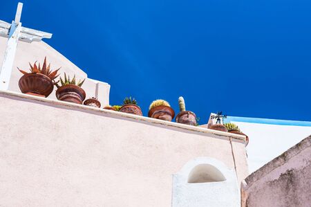 Vases with decorative cactuses on the roof. White architecture on Santorini island, Greece.の写真素材