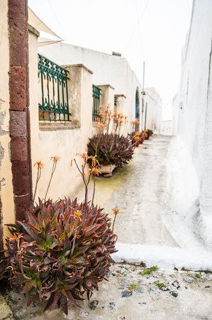 old street in Pyrgos village on the island Santorini, Greeceの写真素材