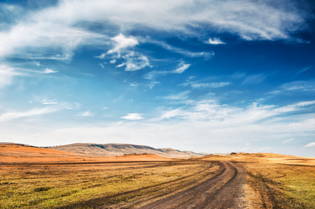 Road In the field and blue sky. Beautiful summer landscape.の写真素材