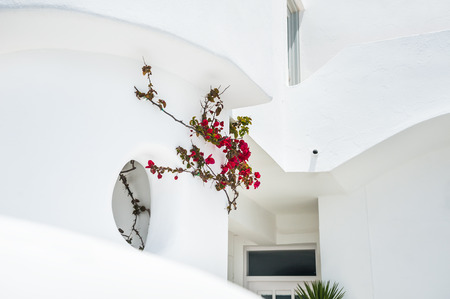 White architecture on Santorini island, Greece.のeditorial素材