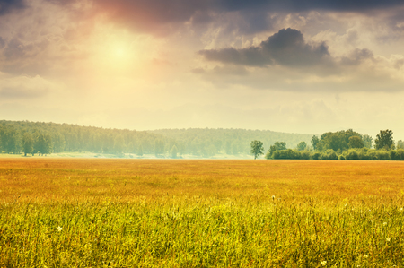Rural nature at sunset. Beautiful summer landscape with field and forestの写真素材