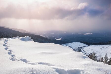 Snow covered mountains at sunset. Beautiful winter landscape. Winter forest. Creative toning effectの写真素材